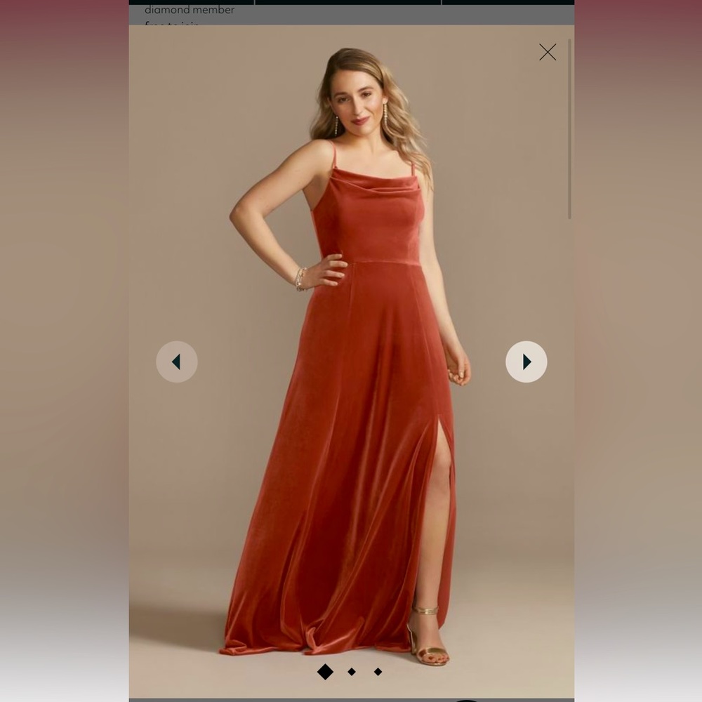 SIZE 4 Velvet Gown *Cinnamon*🧡